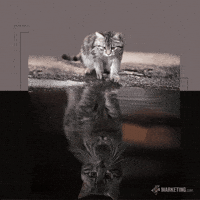 FlySMarketing future motivation inspiration inspirational GIF