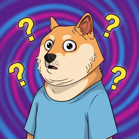 Shiba Inu What GIF by Doge Pound