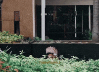 Puteri Indonesia GIF