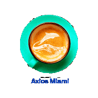 Miami Dolphin Sticker by Axios