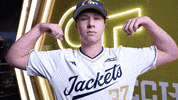 Georgia Tech Baseball GIF by Georgia Tech Yellow Jackets