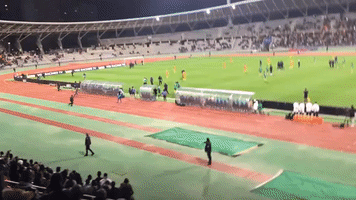 Pitch Invasion Interrupts Match Between Senegal and Ivory Coast