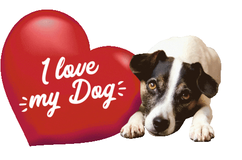 dog love Sticker by Tales&Tails