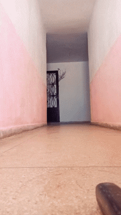 videosgifs giphyupload GIF