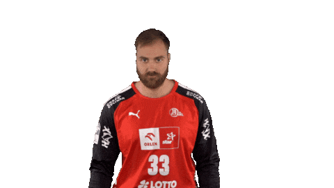 Handball-Bundesliga Handball Sticker by LIQUI MOLY HBL