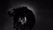 Bae GIF by Wolfacejoeyy