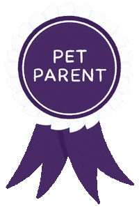 Cat Vacuuming Sticker by BISSELL Australia