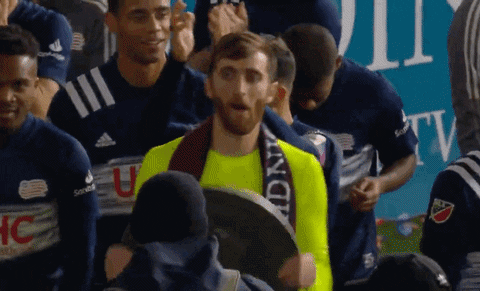 Proud New England GIF by Major League Soccer