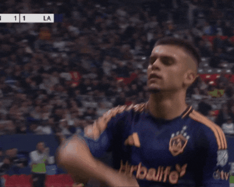 La Galaxy Book GIF by Major League Soccer