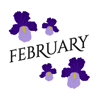 Flowers February Sticker by Erstwilder