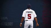 Pro GIF by USA Baseball