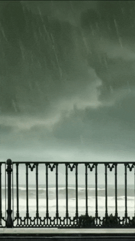 arsmagine giphyupload art film nature GIF