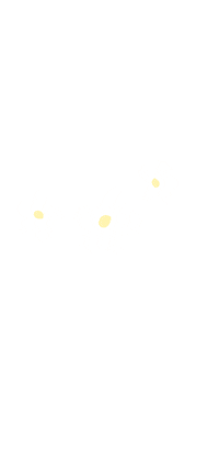 painteddreamsco white flowers aesthetic floral Sticker