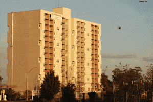 building GIF