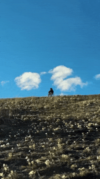 Lonely Peace GIF