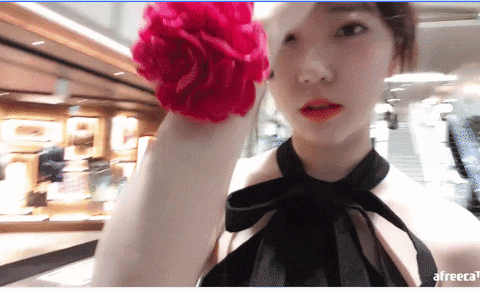 skagk giphyupload GIF