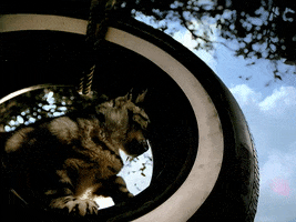 Big Boi GIF by Outkast
