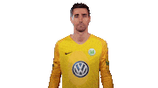 World Cup Football Sticker by VfL Wolfsburg