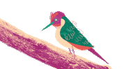Bird Pleasure Sticker by The Explainer Studio