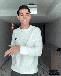 Snap Whip GIF