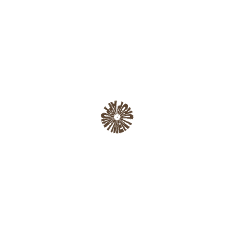 Drop Tattoos Sticker by Ephemeral Tattoo