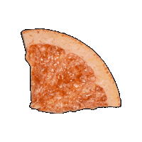 citreve grapefruit citreve freezedriedgrapefruit citrevegrapefruit Sticker
