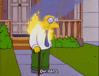 season 6 GIF