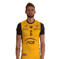 Belchatow Sticker by PGE Skra Bełchatów