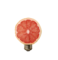 idea pomelo Sticker