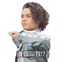 Tiger Sticker