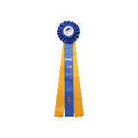 First Place Win Sticker by Paso Park