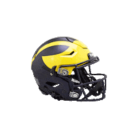 Michigan Football Sticker by Riddell Sports