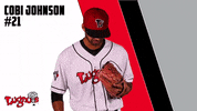 minor league baseball GIF by Lansing Lugnuts