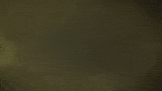 flying starship troopers GIF by Starship Troopers: Traitor of Mars