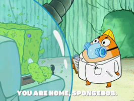 season 5 episode 3 GIF by SpongeBob SquarePants