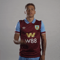 Premier League Smile GIF by Burnley Football Club