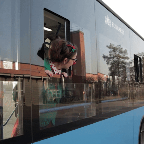 pirosorrhu giphyupload hello iamhere rednoses GIF