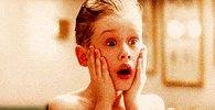 Movie gif. Macaulay Culkin as Kevin in Home Alone holds his hands to the side of his face with wide eyes as he yells. 