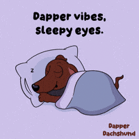 Sleepy Good Night GIF by VeeFriends