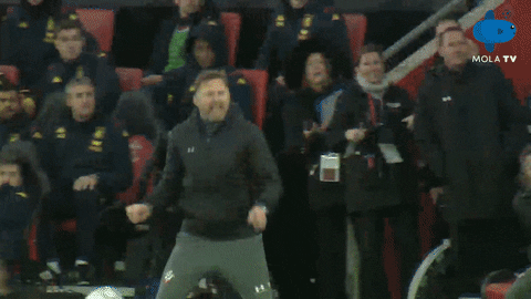 Premier League Celebration GIF by MolaTV
