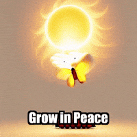 Inner Peace Transformation GIF by Bloomscroll