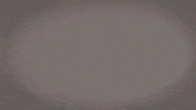 Eddietheeagle GIF by Cal State LA