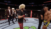 ufc 219 mma GIF by UFC