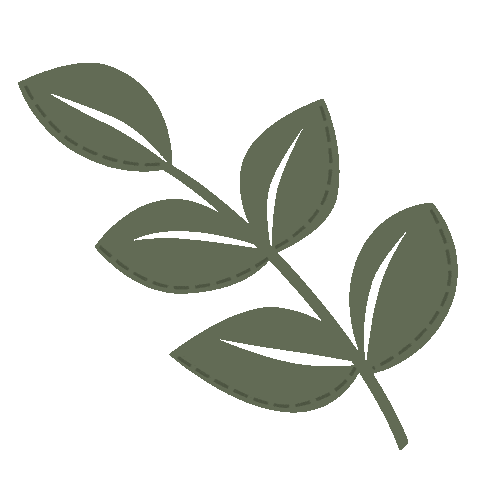 Spring Leaf Sticker