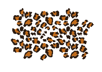 Fashion Guepard Sticker by Schutz