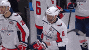 Happy Washington Capitals GIF by NHL