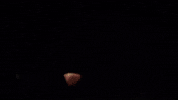 guy fieri GIF by Food Network