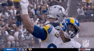 Los Angeles Rams Football GIF by NFL
