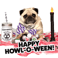 Halloween Pug Sticker by Puggy Smalls
