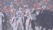 Football Celebration GIF by New England Patriots